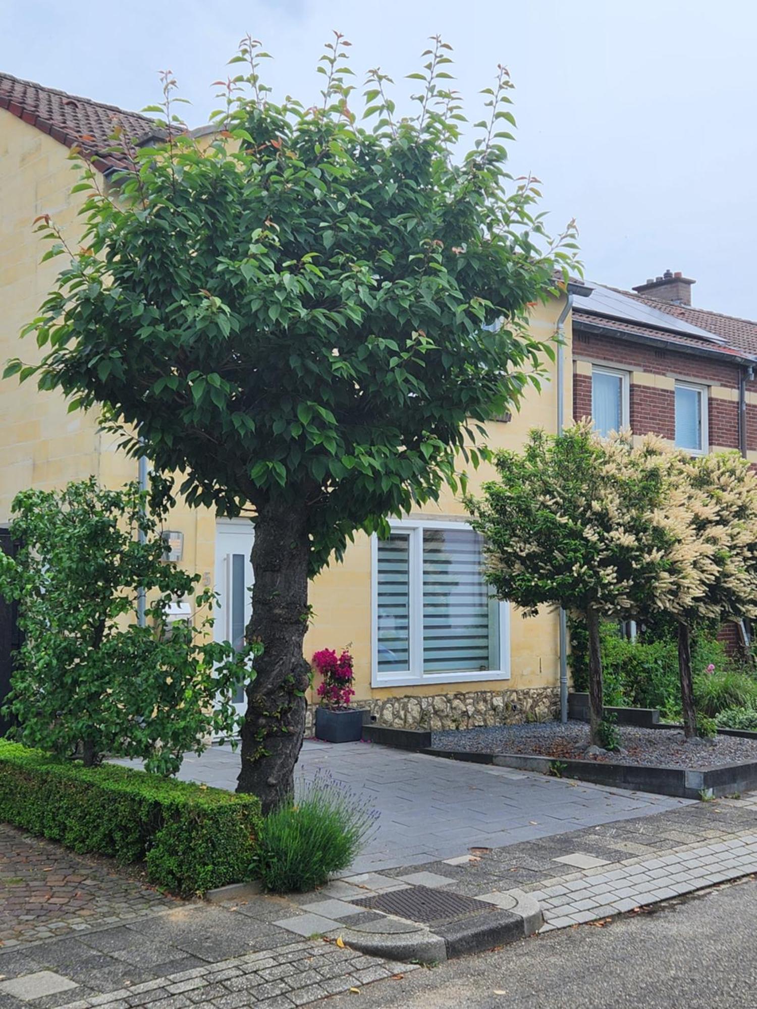 Casa Cinco * Valkenburg aan de Geul